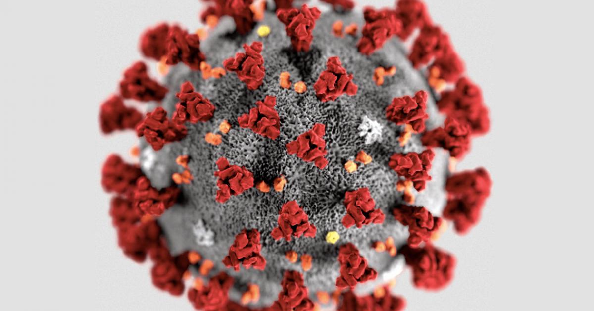 COVID19 Virus COVID 19 - épidémie coronavirus