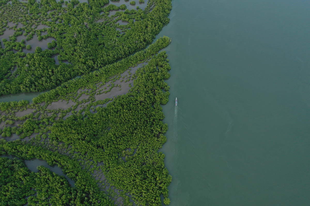 étude environnement Vattenfall