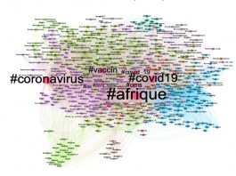 Cartographie resserrée des 5 500 comptes les plus influents, classée et regroupée par proximité conversationnelle et relationnelle.