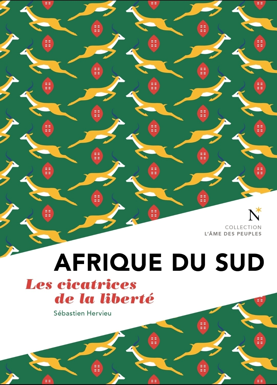 afrique-du-sud2