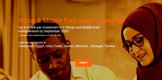 Orange MEA Seed Challenge