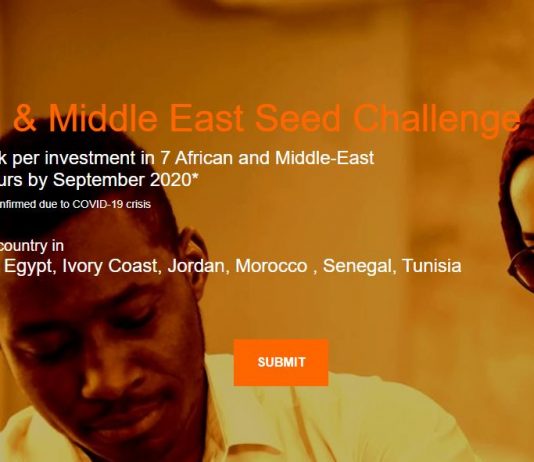 Orange MEA Seed Challenge