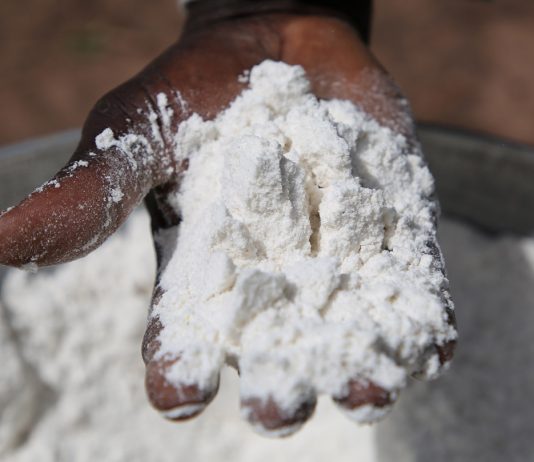 Farine de mil agriculture en Afrique