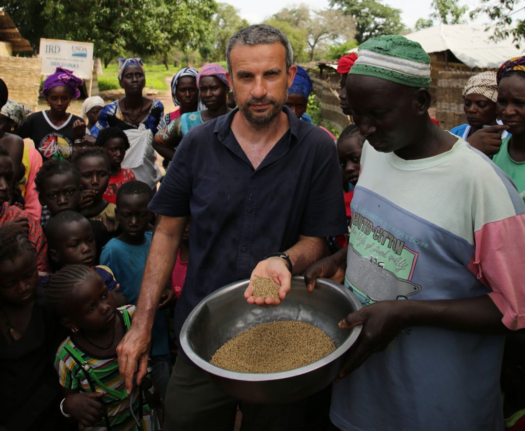 Récolte du mil au Sénégal dans la région de la Casamance - Thierry Barbaut 2020