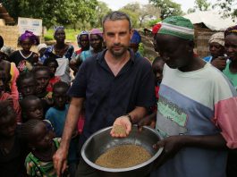 Récolte du mil au Sénégal dans la région de la Casamance - Thierry Barbaut 2020