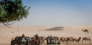Opération Barkhane Sahel