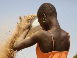 Femmes économie Afrique