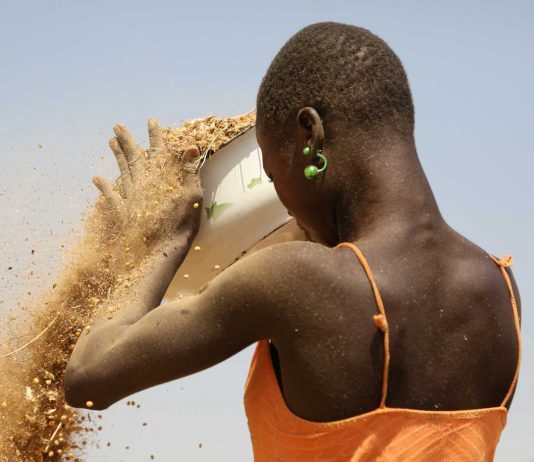 Femmes économie Afrique