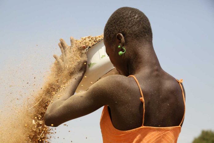 Femmes économie Afrique