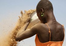 Les femmes dans l'agriculture en Afrique