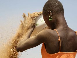 Les femmes dans l'agriculture en Afrique