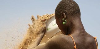 Les femmes dans l'agriculture en Afrique