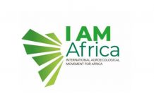 IAM Africa