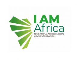 IAM Africa