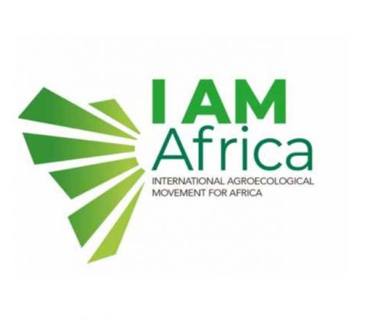 IAM Africa