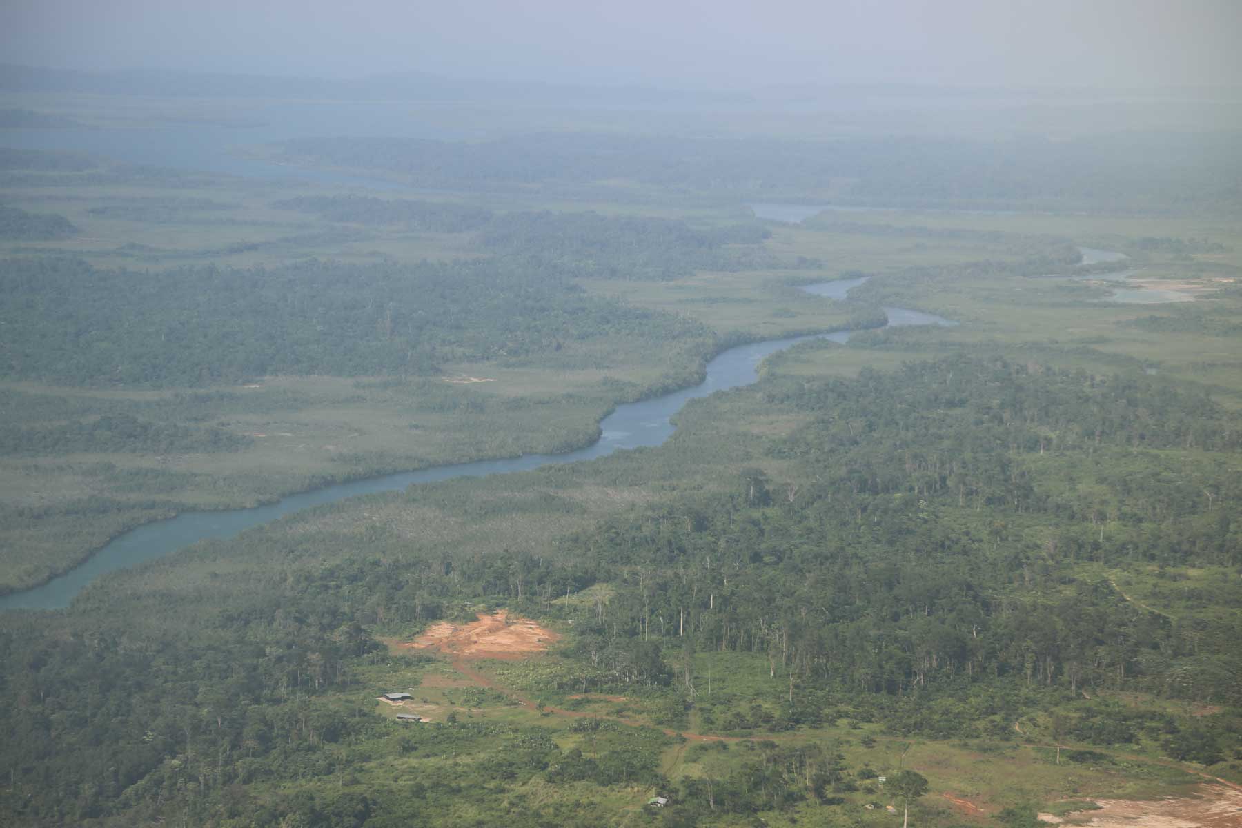 Conkouati-Douli-NOE Conkouati Douli - Congo