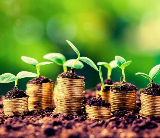 Obligation verte Afrique