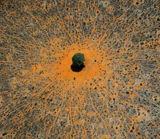 L’AFD explique pourquoi le changement climatique doit être une priorité pour l’Afrique Argent climat