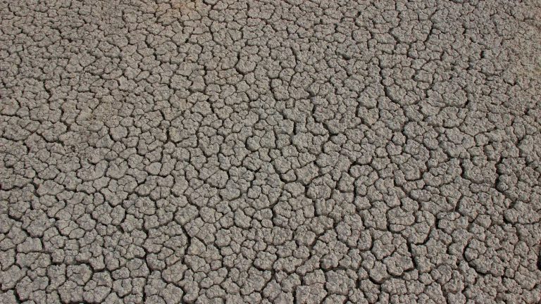 Où est l’argent pour le climat ?