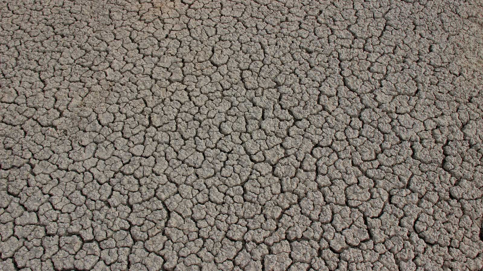 argent-climat-monde