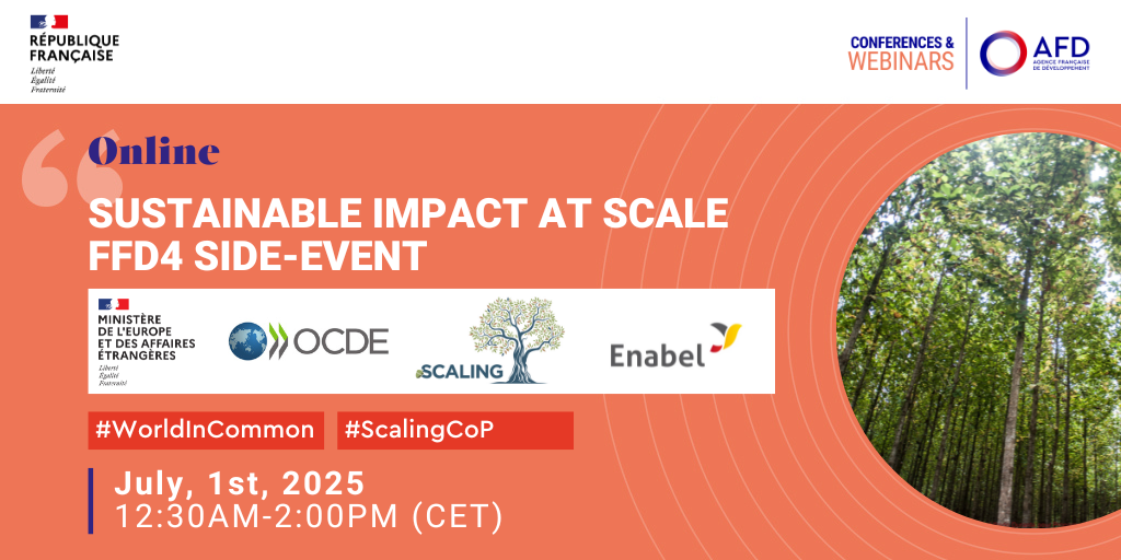 impact at scale - FfD4